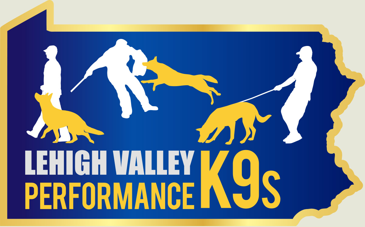 Lehigh Valley Performance K9s